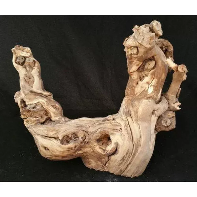 12" X 12" Sandblast Grape Wood Branch For Reptile Or Flower Arrangement