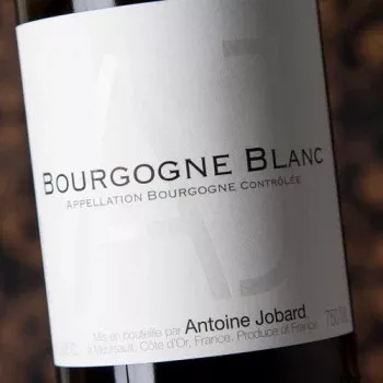2020 Antoine Jobard Bourgogne Blanc